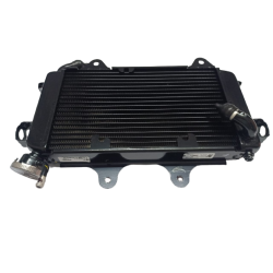 RADIADOR COMPLETO DUKE 125/200